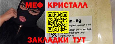 индика Можга
