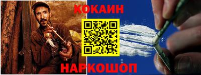 индика Можга
