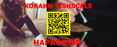 индика Можга