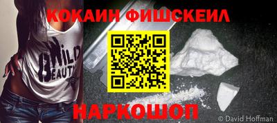 индика Можга