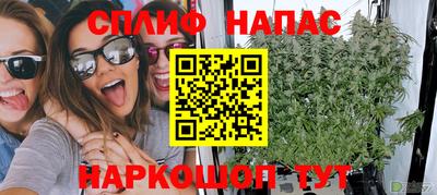индика Можга