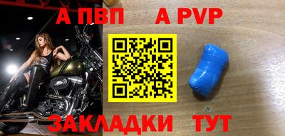индика Можга