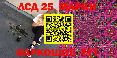 индика Можга