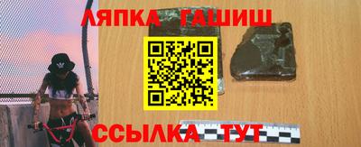 индика Можга