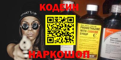 индика Можга