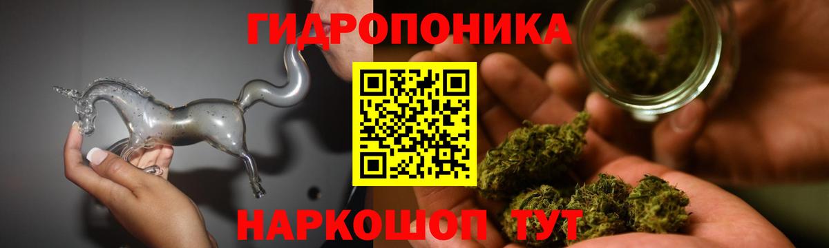 Конопля марихуана Сорочинск